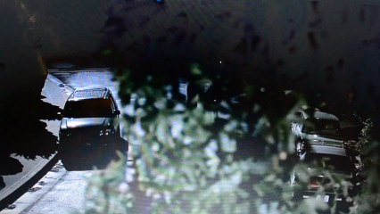 Bean The movie 1997 - drunk singing