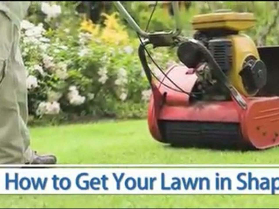 How To Get Your Lawn in Shape!