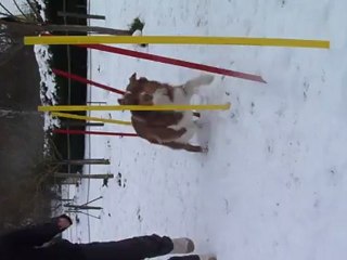 Entraînement slalom