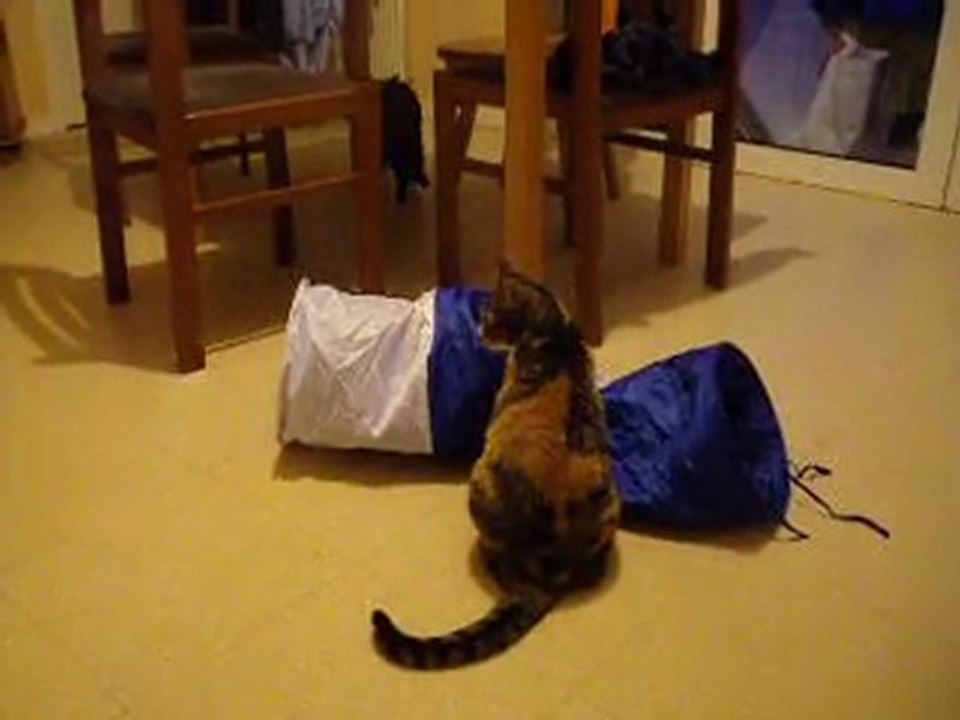 debut de jeu entre gazouille et gigi