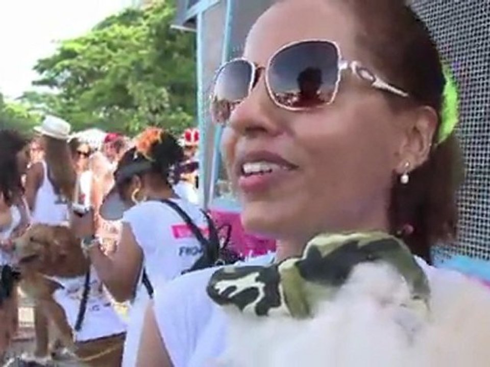 Le "carnaval des animaux" de Rio fête ses 10 ans