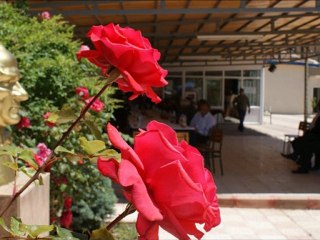 Güler Duman Mustafa Özarslan Öl Deseydin - (2012 Düet)