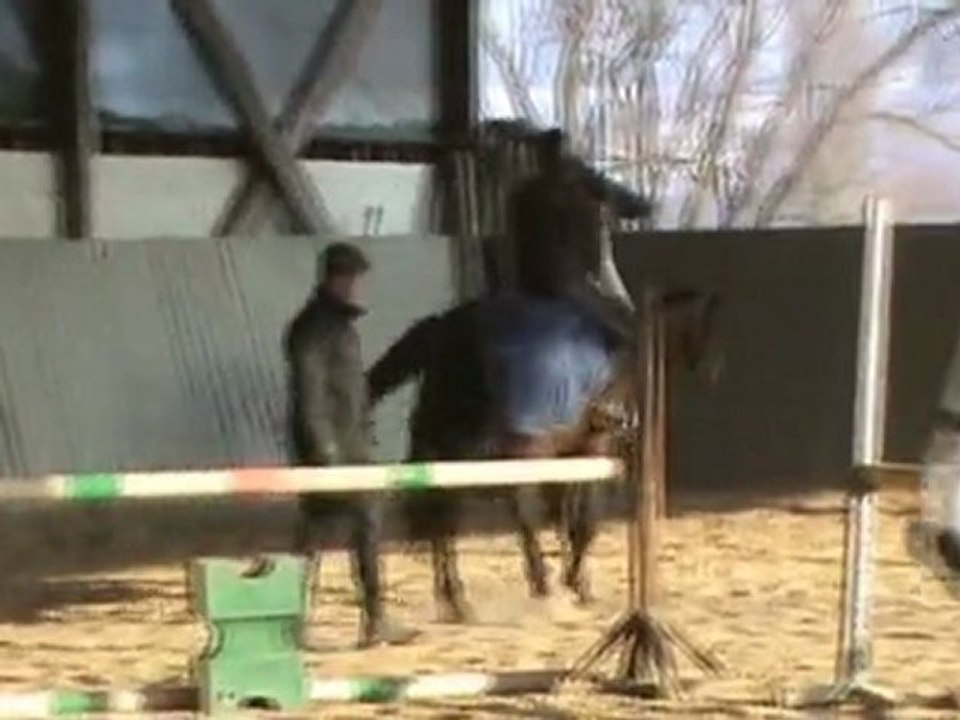Essai cheval de 5 ans - 2012