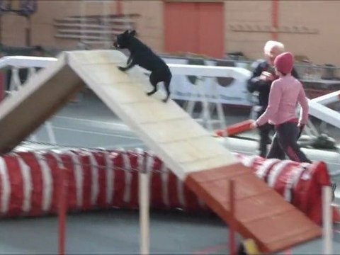 Vodka La Chapelle Rousselin 2012