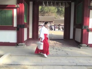 Rémi Panossian Trio - Insomnia