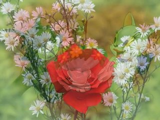 SEVGİLİLER GÜNÜNDE