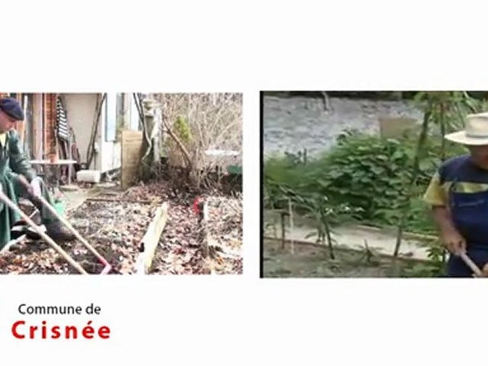 L'actualité a Crisnée