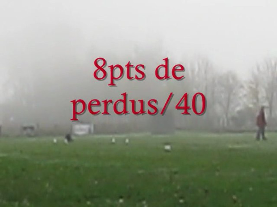 concours d'Obéissance classe II