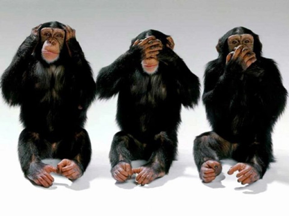 MUAZZEZ ABACI-BERABER YÜRÜDÜK BİZ BU YOLLARDA TAYYİP