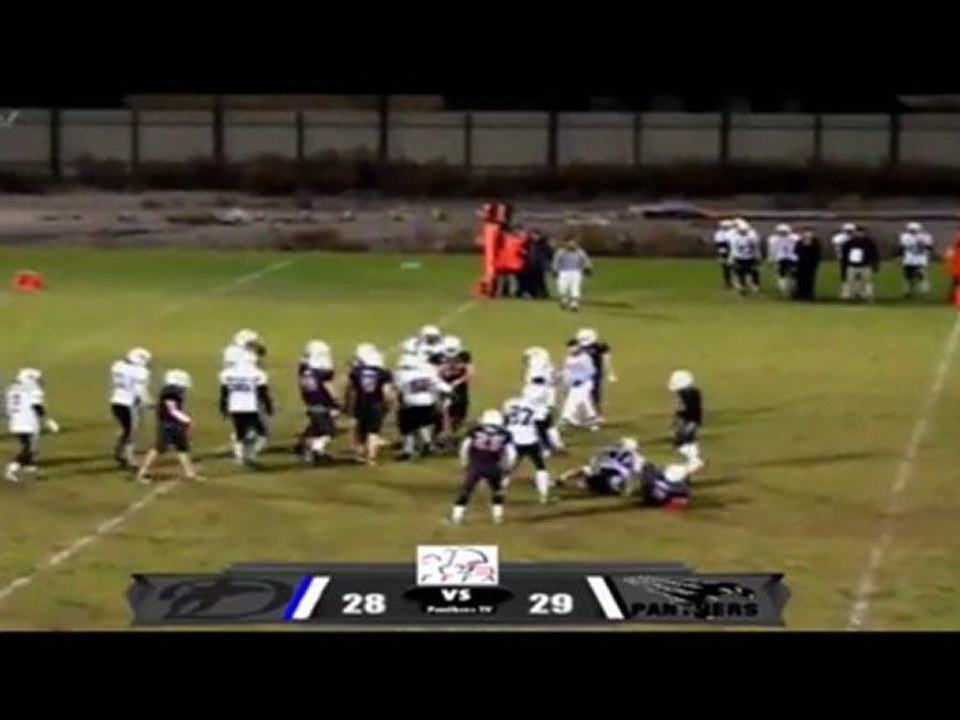 Cougars - Black Panthers