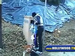 Teri Hatcher Walking her Dogs around Los Angeles.