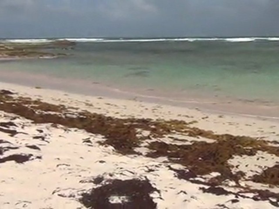 Savannah Bay of east end Anguilla part 1
