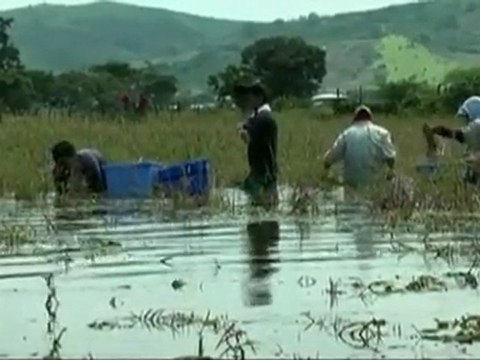 Severe flooding hits Ecuador