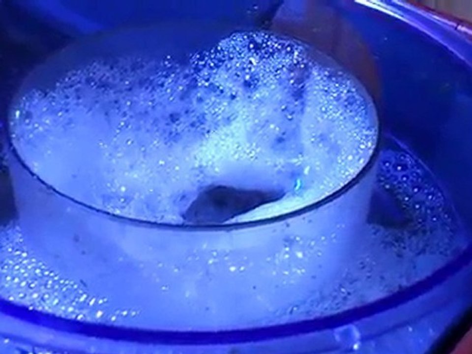 MOV_0112
