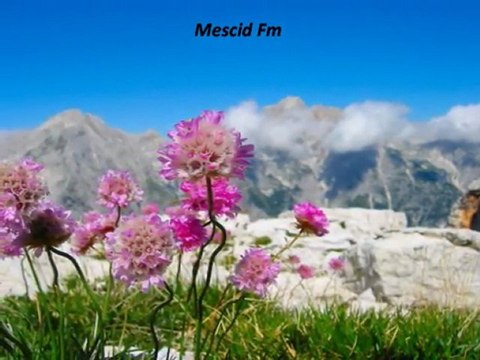 Mescid Fm Kemal Şimşek Ya Muhammed