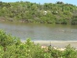 west end salt pond, firefly lane and gull pond in Anguilla