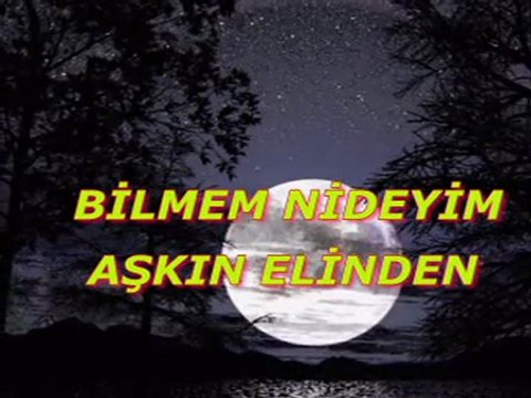 Bilmem nideyim aşkın elinden