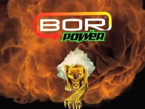 nnt bor power yağ katkıları