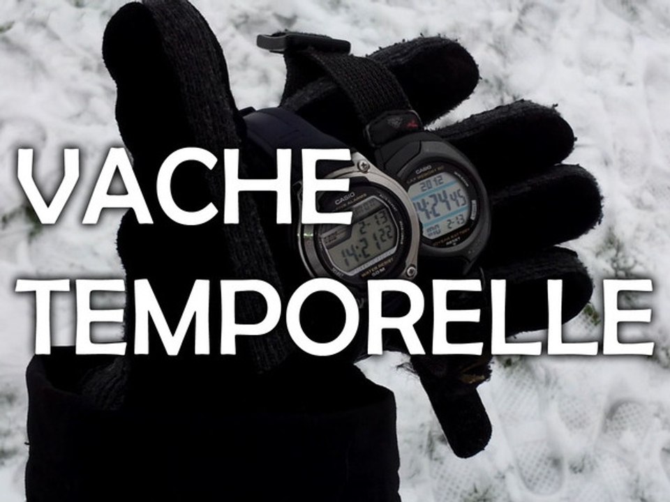 PRISME PROD - VACHE TEMPORELLE