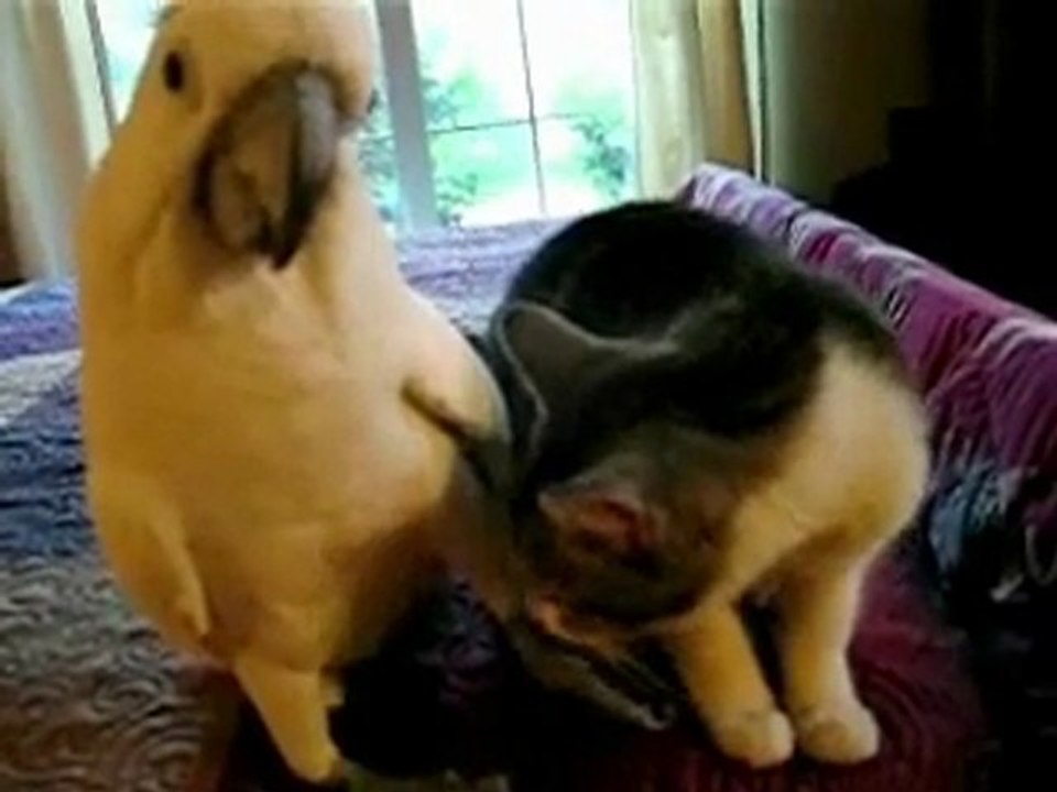 True love has no limits