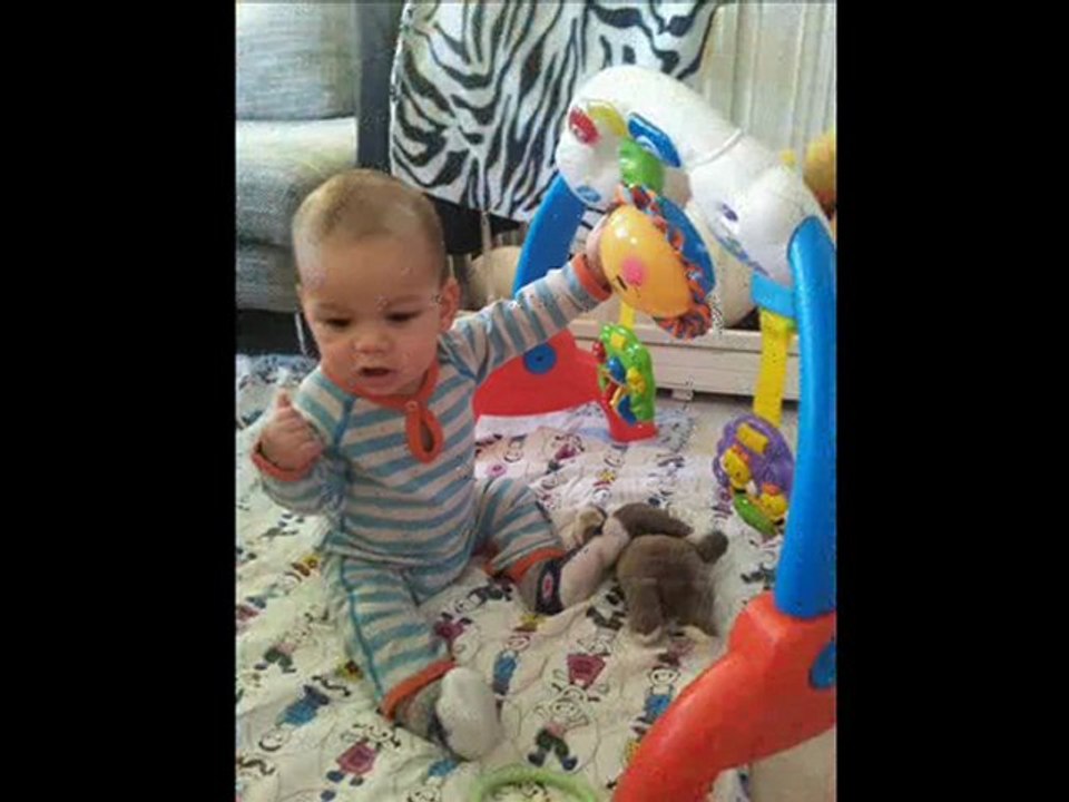 Alexander mok  Olsen cook 2012