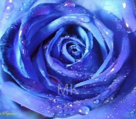 Yıldız Tilbe  Karşı Köyden Davul Sesi Geliyor