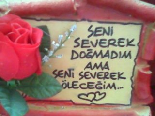 aşk mahkumlarına af yokmu yarab (Y.JANUARY )