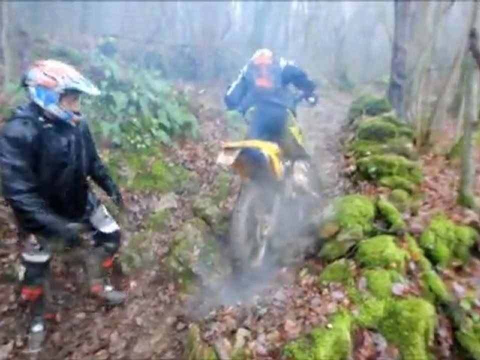 team les sanglier 2