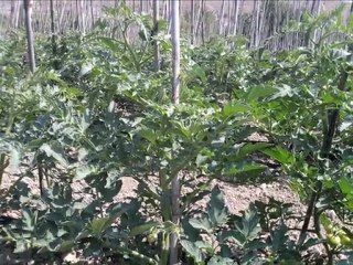 kapıkaya köyü eskişehir