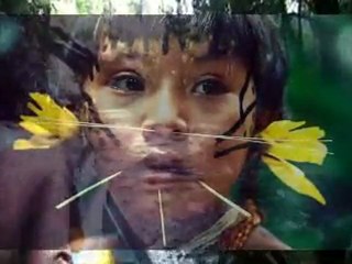 Amazonie. Descente d'une rivière en pirogue .