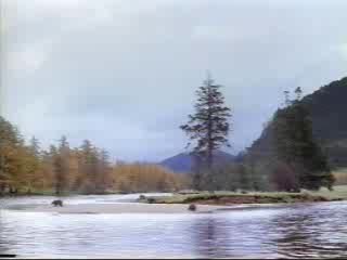 Homme vs ours / man vs bear