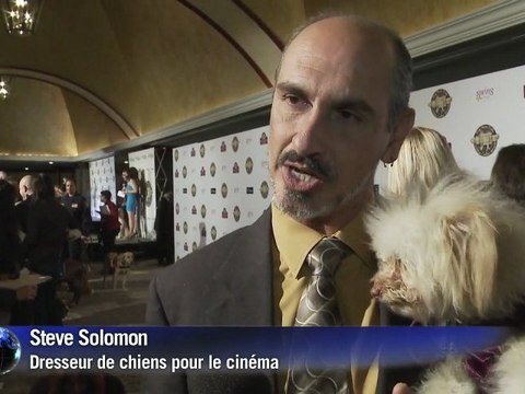 Cinéma: le chien Uggie récompensé aux Colliers d'Or avec The Artist
