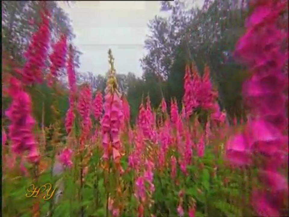 Bediüzzaman Hazretleri Hz Isa’nın Hz Mehdi ile birlikte hareket edeceğini söylüyor