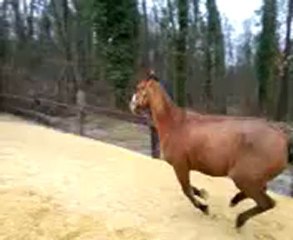 Kabyle et l'hiver ^^