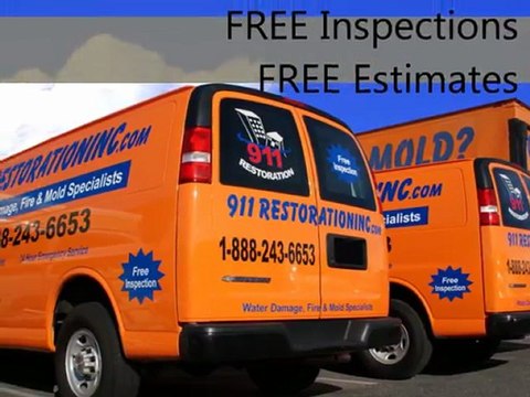 Mold Removal West Palm Beach - Call (561) 283-0705