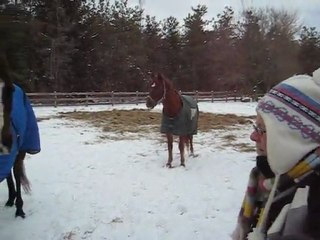 Feb 13 2012 River, Sam, Wendy and getting a drink