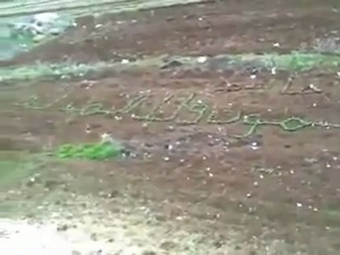 فري برس مدينة جاسم المحتلة حتى الزرع نطق الموت ولا المذلة