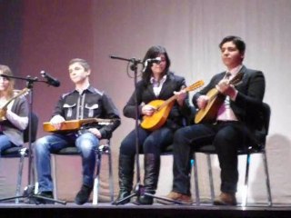 Spectacolul caritabil “Încă un pas…”   Grupul de elevi "MANDOLINA"-11 februarie 2012