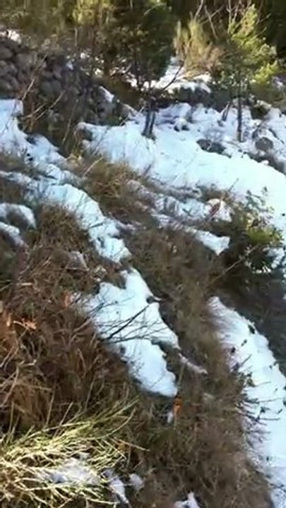 castillon  glissades et neige