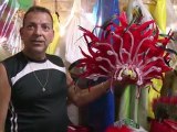 Carnaval de Rio: quand l'avocat se transforme en oiseau argenté
