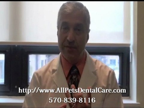 Mt. Pocono Veterinarian for Pocket Pets and Small Animals