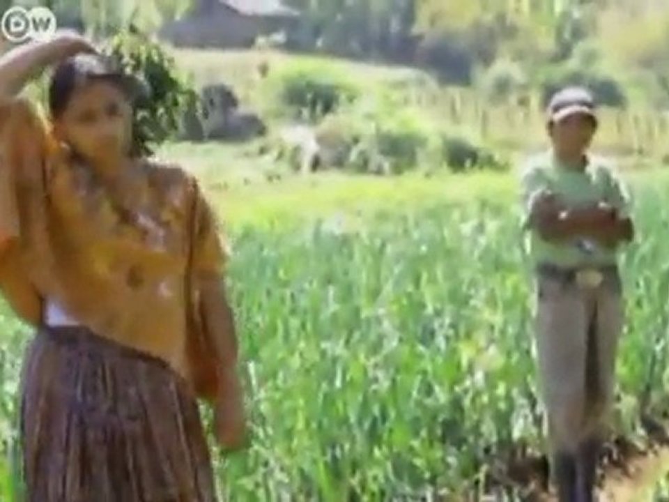 Democracy instead of drugs | global 3000