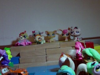 partie 7 finale Miss Petshop 2012