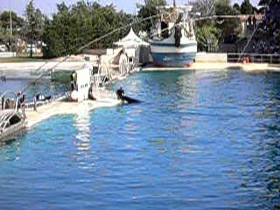 marineland