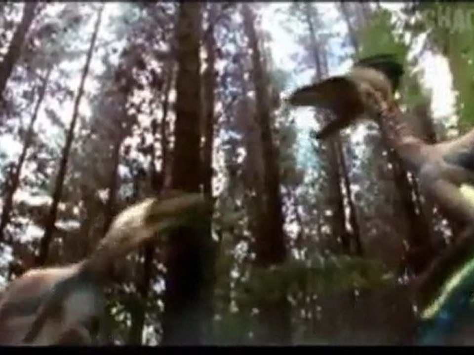 Vor 125 Millionen Jahren-Teil 2 - Dinovogel