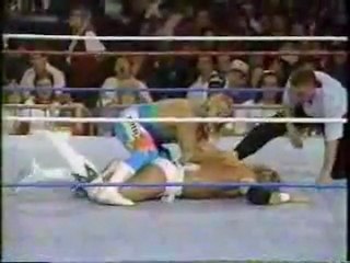 Owen Hart vs ''Narcissist'' Lex Luger