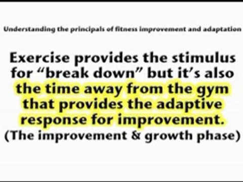 Lose weight or build muscle really fast(only 7 minute workout for complete fitness)