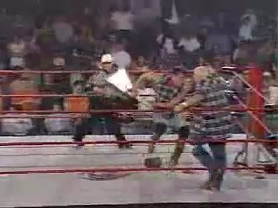 NWA-TNA  : Dusty Rhodes vs David Flair