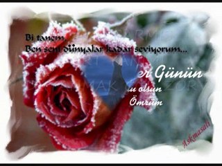 SENİ SEVİYORUMM  BİRTANEM.......