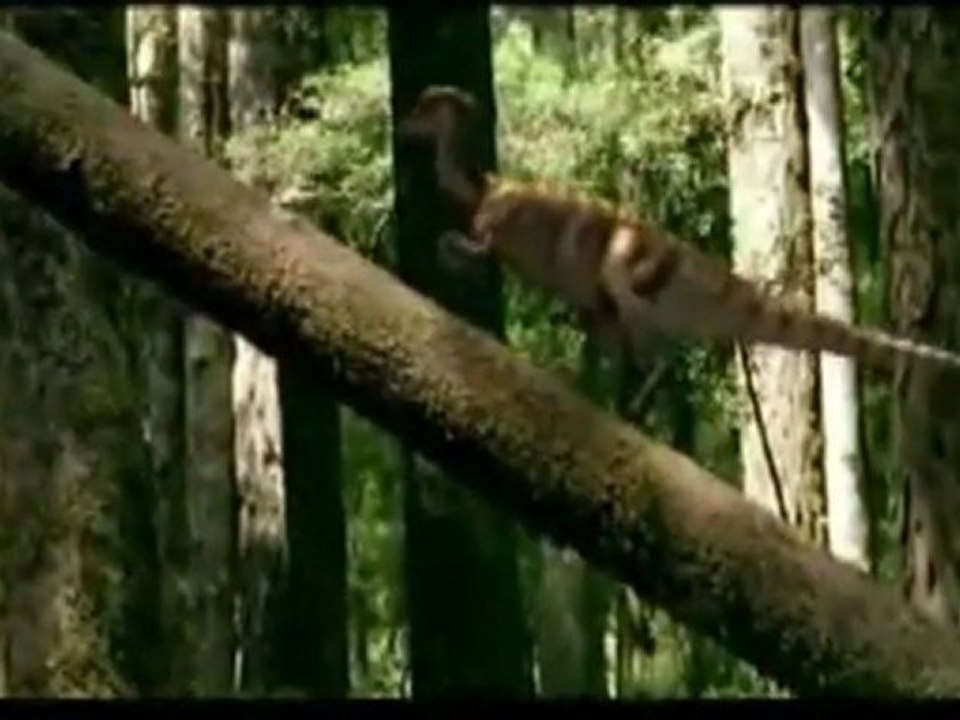 Vor 106 Millionen Jahren -106 000 000 BC -  Die Antarktischen Dinosaurier